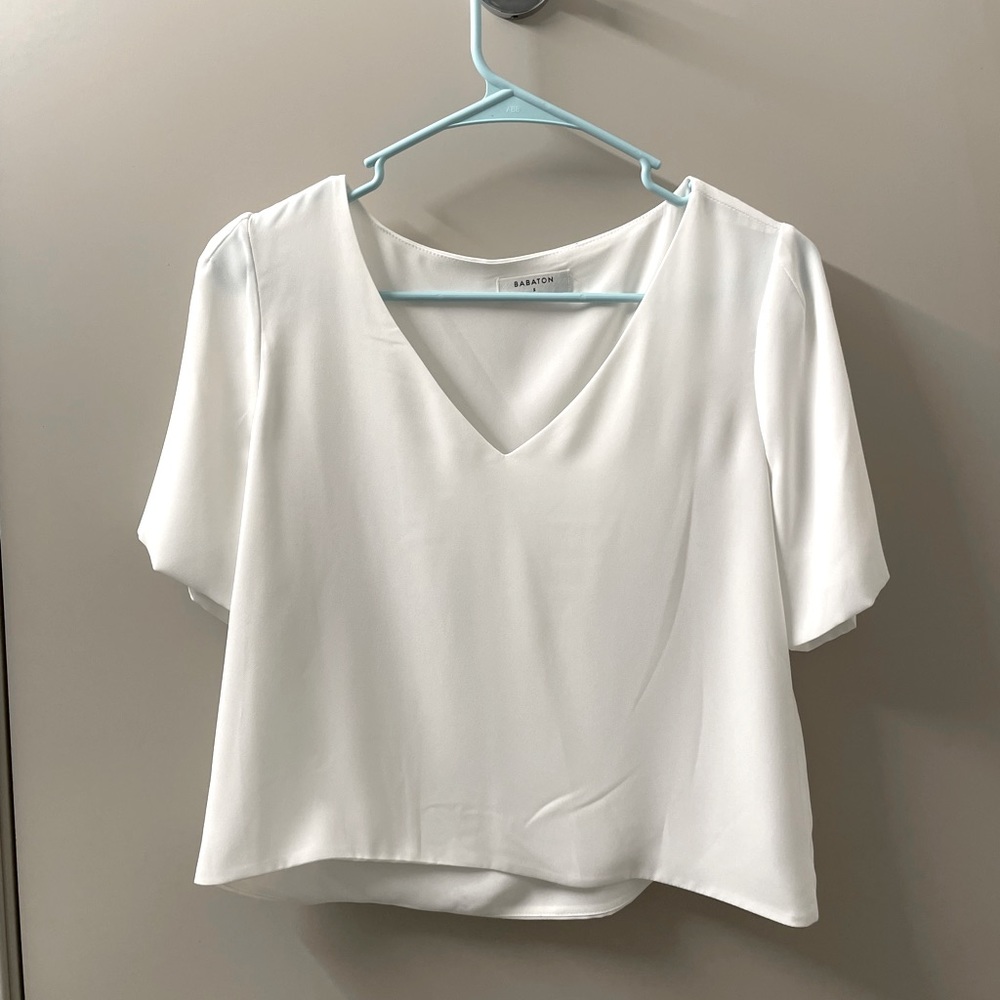 Aritzia Babaton Murphy Blouse